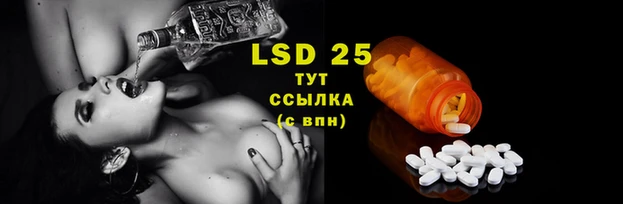 тгк Нея