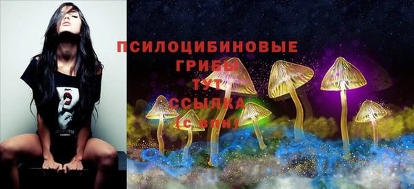 mdpv Нефтекумск