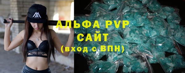 амф Новозыбков